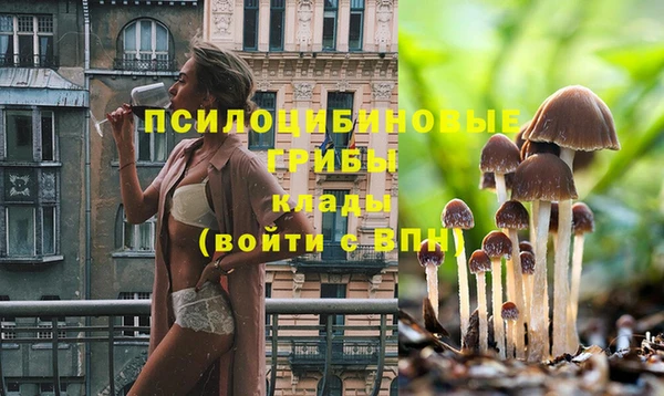 ешки Покачи