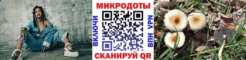 mega как зайти  Краснознаменск  Галлюциногенные грибы GOLDEN TEACHER 